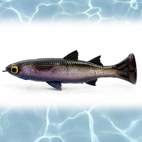 Savage Gear Pulse Tail Mullet Lure 5in - Premium Saltwater Fishing Bait for Bass, Trout, and Redfish - Perfect for Kayak Fishing and Surf Casting