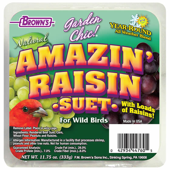 Premium Amazin Raisin Suet Cakes - 8 Pack | High-Energy Bird Food for Wild Birds | Perfect for Backyard Bird Feeders & Winter Bird Feeding