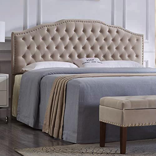 Taupe-king With Nails Trim