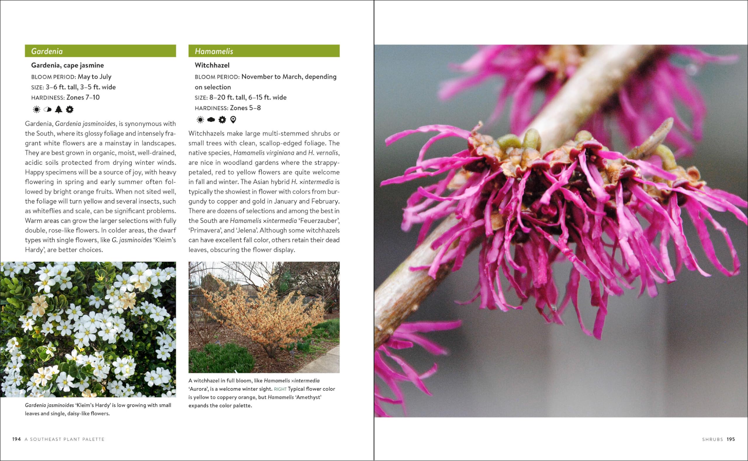 Southern Gardening Guide: Complete Homeowner's Handbook for Beautiful Yards & Landscapes | Perfect for Beginners, DIY Landscaping & Southern Climate Gardens
