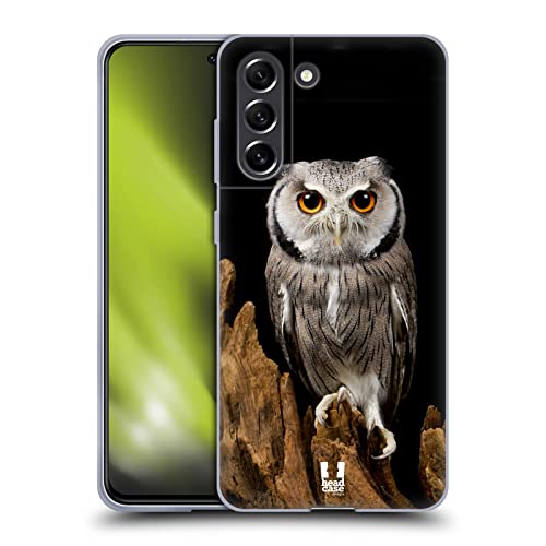 White-Faced Owl
