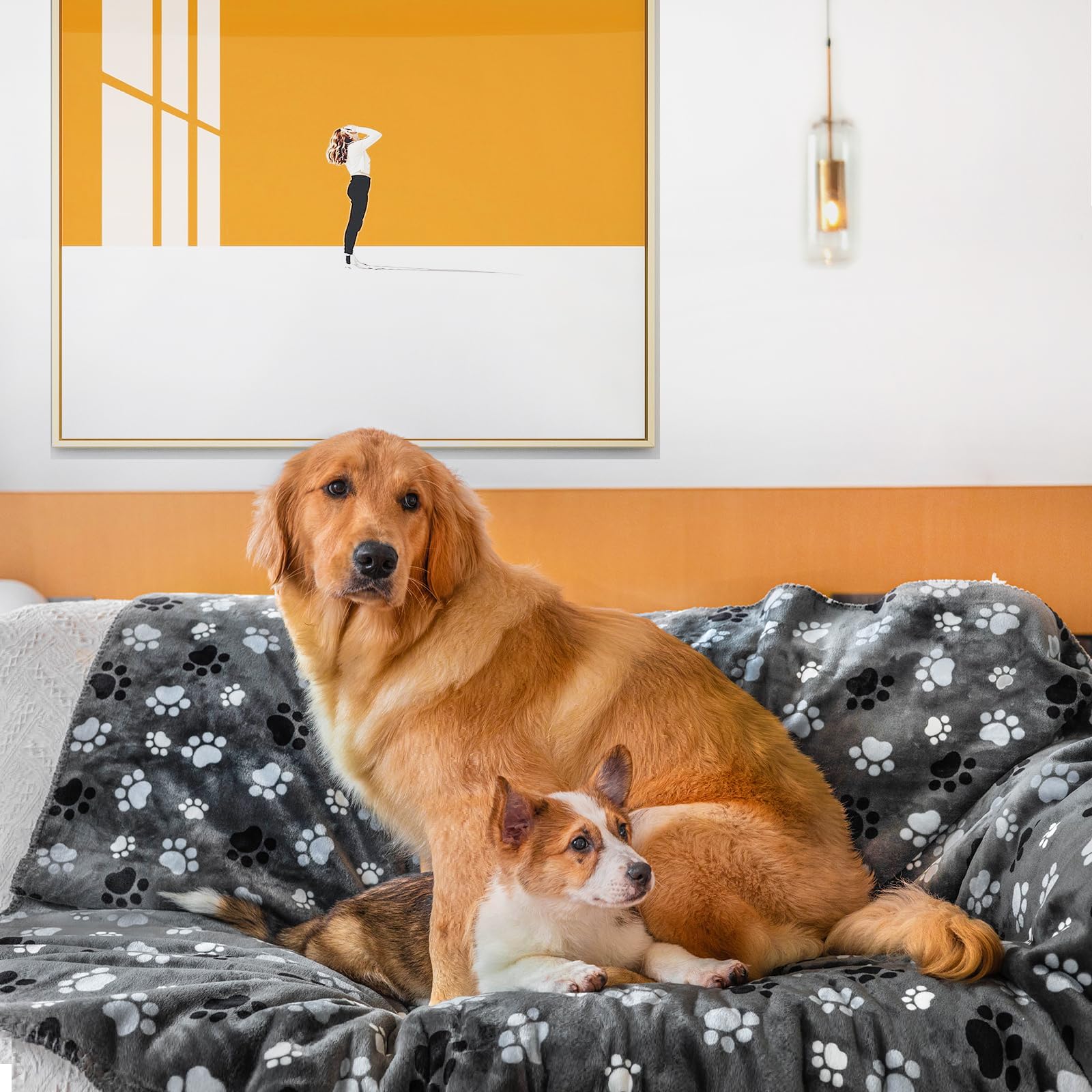 Waterproof Pet Blanket for Dogs & Cats - Soft Washable 40x30 Inch - Perfect for Sofa, Car & Outdoor Use