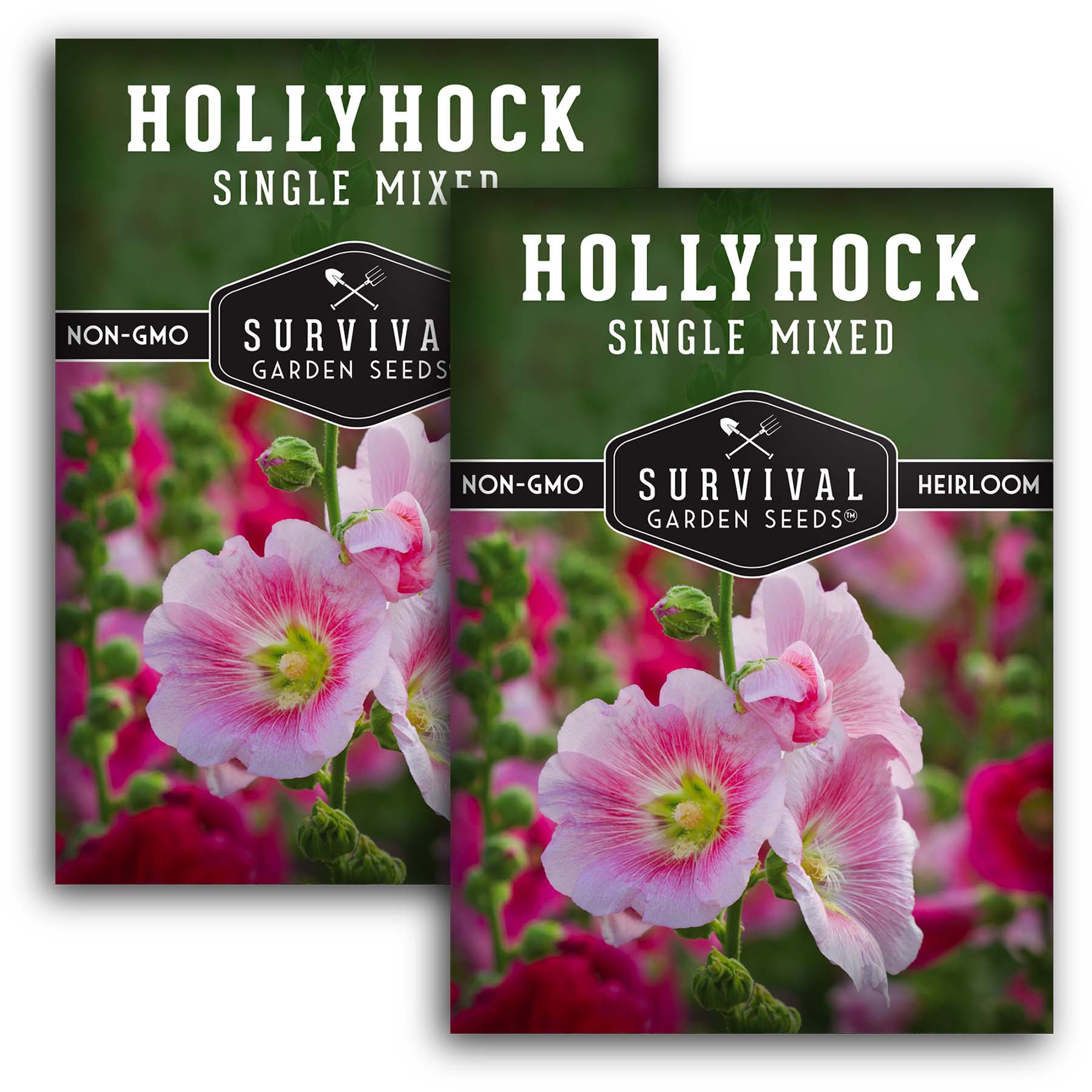 Premium Single Mixed Hollyhock Seeds for Planting - Vibrant Cottage Garden Flowers | Perfect for Borders, Cut Flowers & Pollinator Gardens