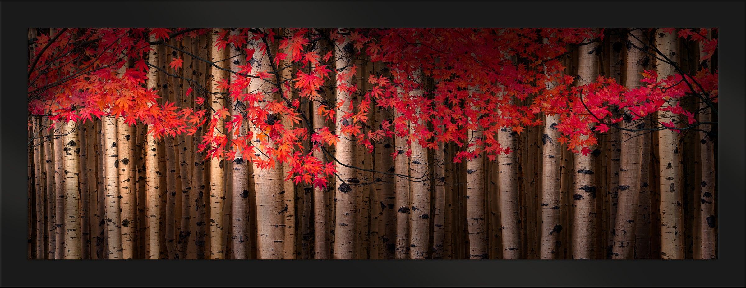 Autumn Serenade - Romantic Fall Music Playlist for Cozy Evenings | Perfect for Relaxation, Dinner Dates & Seasonal Ambiance