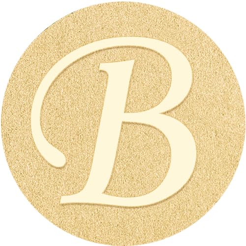 B Tie Pins