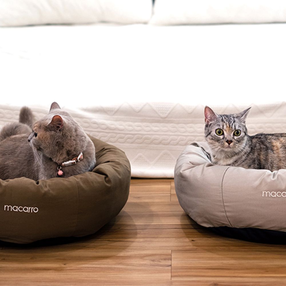 Premium Donut Latex Pet Bed - Ultra Soft & Comfortable Dog & Cat Bed for Small to Medium Pets - Perfect for Cuddling, Napping & Relaxing at Home or Travel