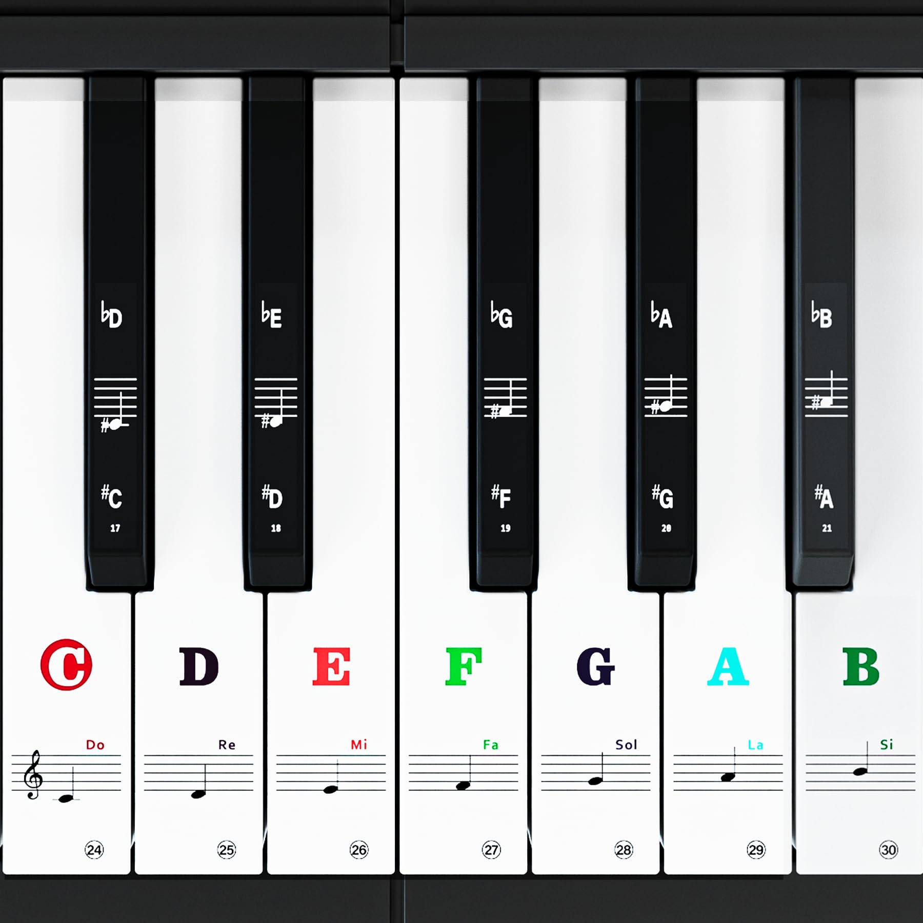 **88/61/54/49/37 Key Piano Keyboard Stickers - Bold Large Letter Removable Note Labels for Beginners & Kids (Multicolor) - Perfect for Learning Piano at Home or School**