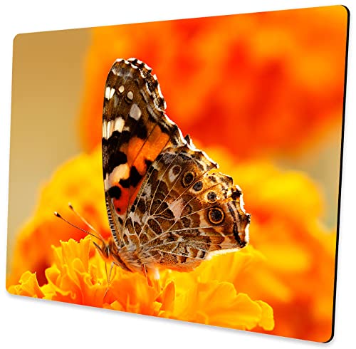 Colorful Butterfly Mouse Pad