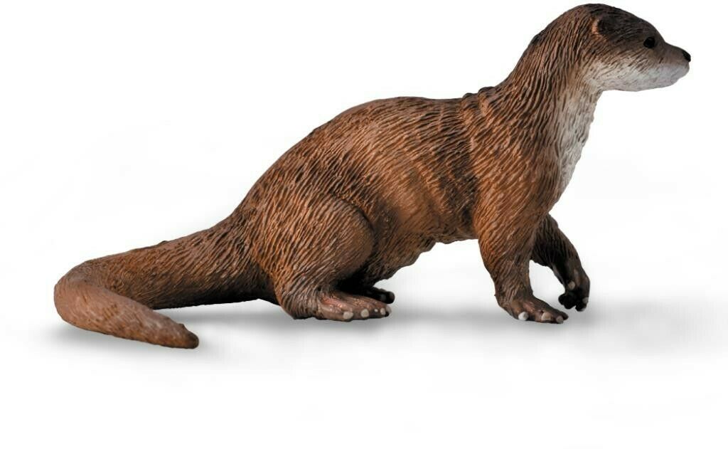 CollectA Common Otter Medium Animal Figurine - Realistic Wildlife Collectible for Home Decor, Nature Displays & Educational Play