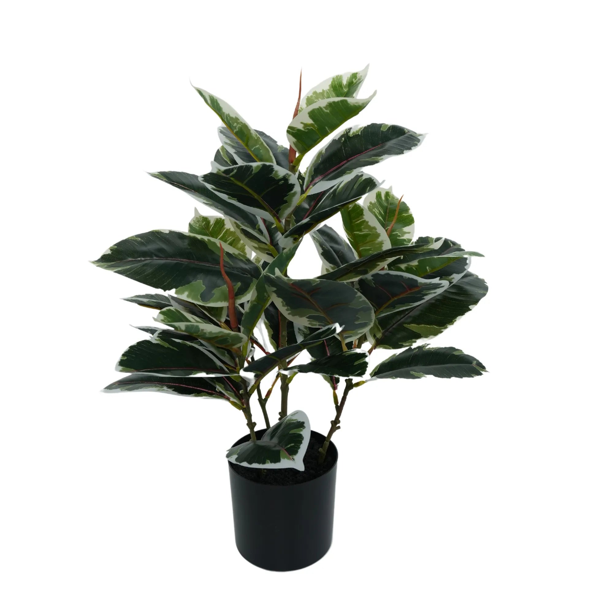Artificial Bushy Dense Variegated Ficus Tree (Rubber Tree) 50cm - Indoor Decorative Plant for Home Office Living Room Decor - Perfect for Housewarming Gifts & Interior Design