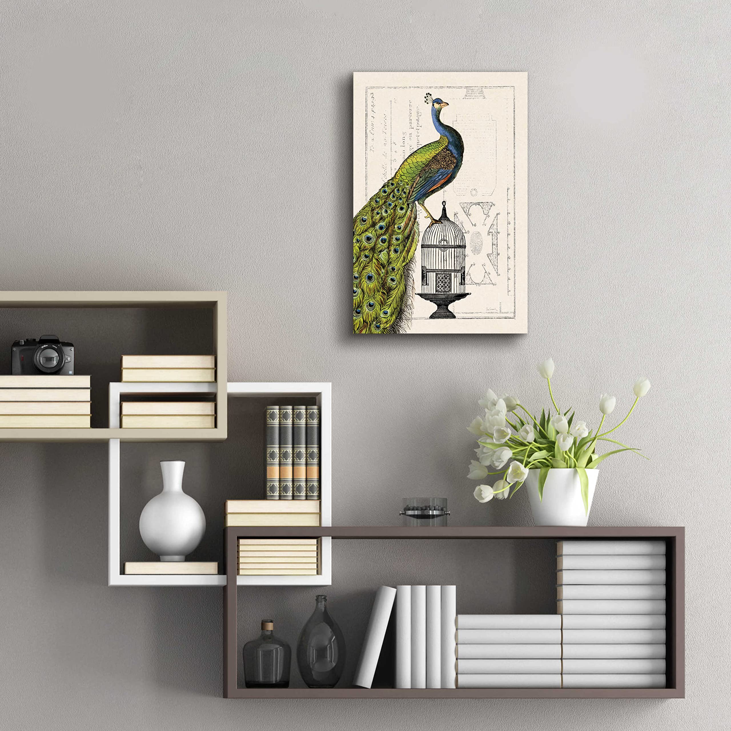 Epic Art 'Peacock Birdcage I' by Sue Schlabach - 16x24 Inch Acrylic Glass Wall Decor, Modern Home & Office Artwork - Perfect for Living Room, Bedroom or Gallery Wall Display