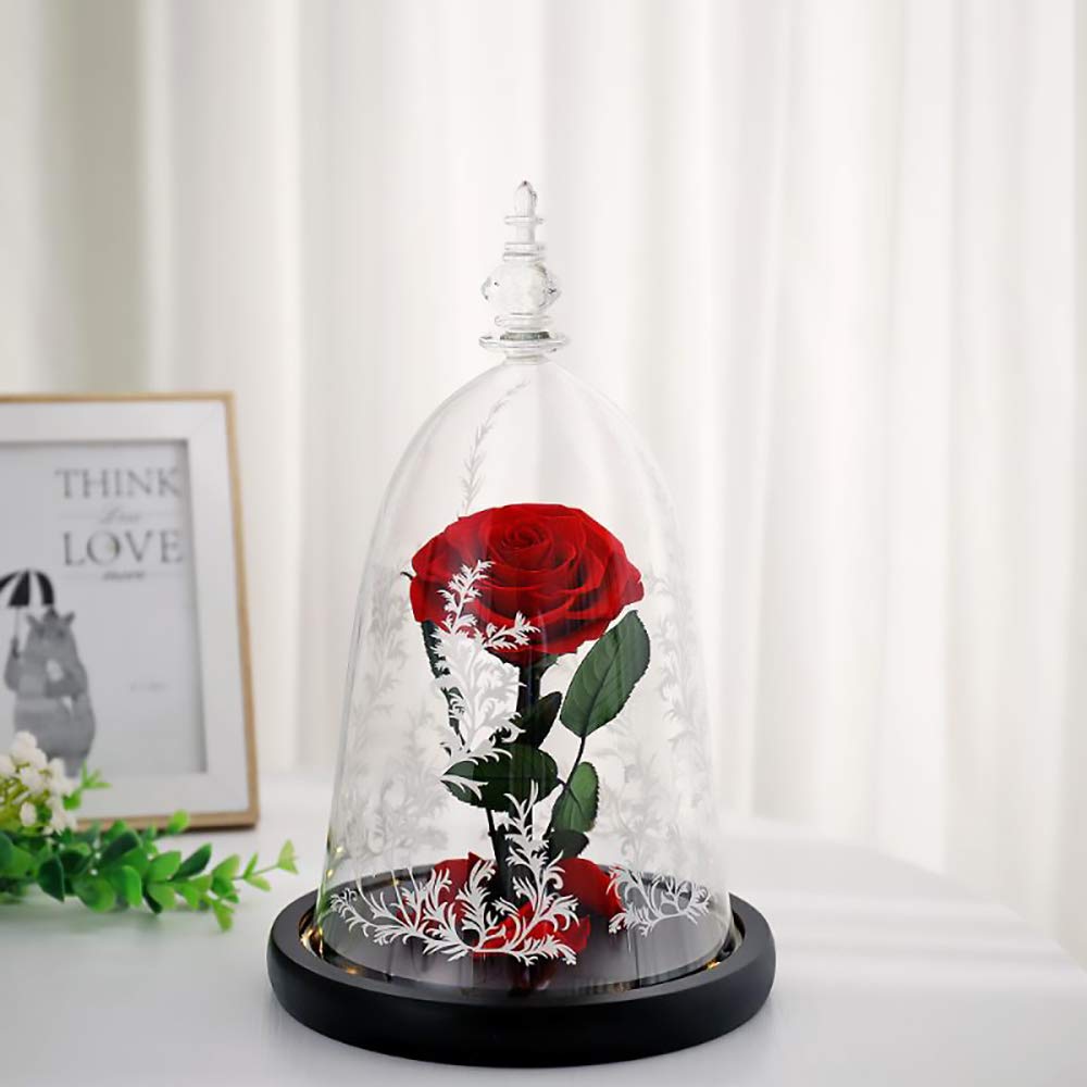 Beauty and The Beast Rose - Red Galaxy Glass Rose Handmade from Fresh Roses in Luxury Glass Dome - Perfect Valentine's Day, Mother's Day, Birthday Gift for Her - Romantic Home Decor & Special Occasion Present (1pc)