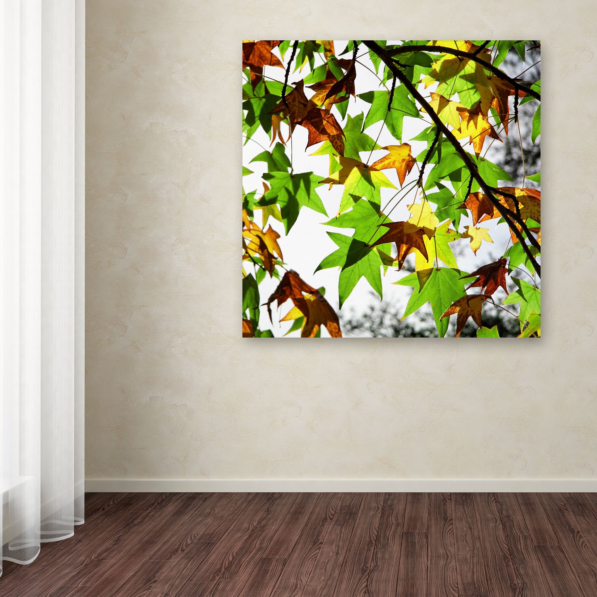 Trademark Fine Art First Signs by Beata Czyzowska Young - 35x35 Inch Canvas Wall Art - Perfect for Living Room, Bedroom & Office Decor