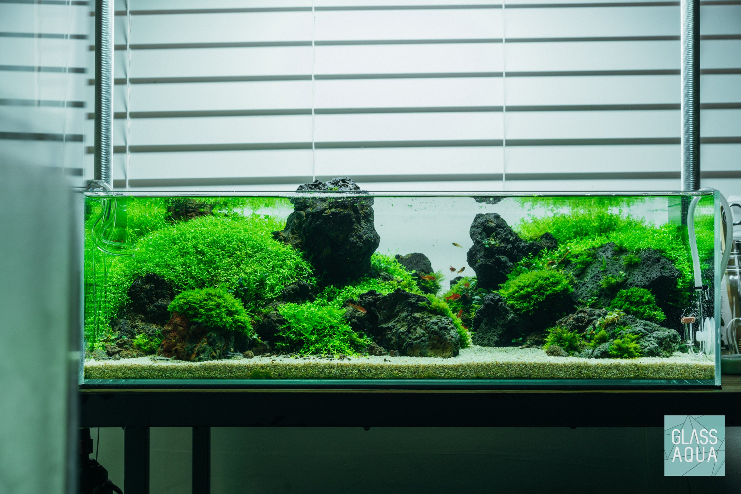 Premium UNS Rimless Shallow Glass Aquarium Tank - 5 Gallon Nano Fish Tank for Betta, Shrimp & Plants | Perfect for Desktop, Office & Home Decor
