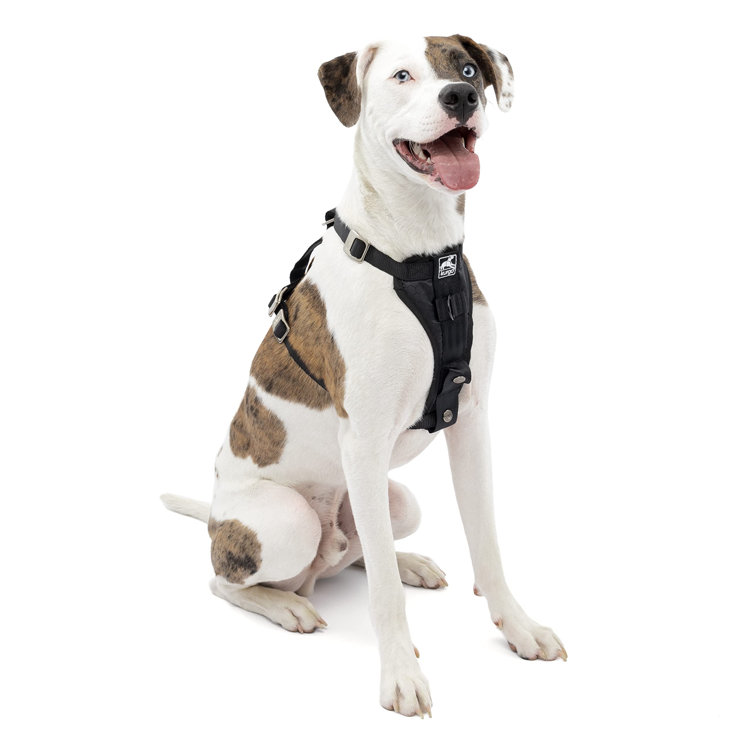 Kurgo Tru-Fit Enhanced Strength Dog Car Harness - Medium Black Pet Safety Seat Belt | Crash Test Certified | Perfect for Road Trips & Safe Car Travel with Your Dog