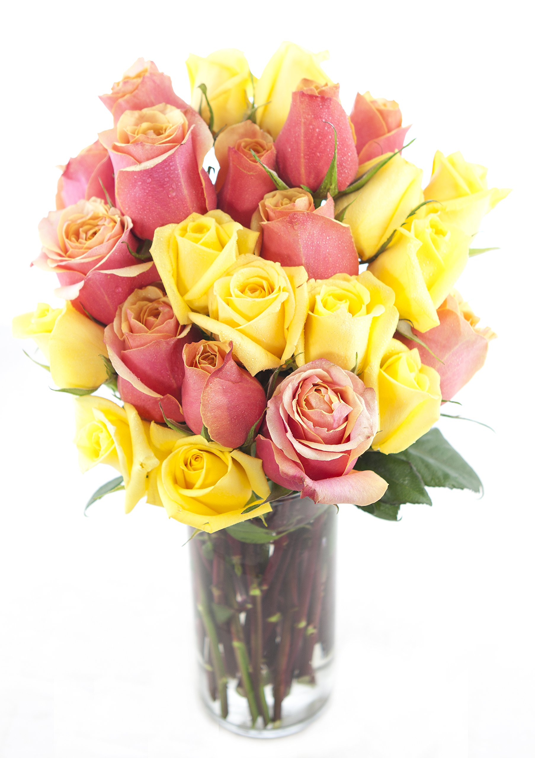 KaBloom PRIME NEXT DAY DELIVERY - 2 Dozen Fresh Orange & Yellow Roses with Glass Vase - Perfect for Mother's Day, Birthday, Anniversary, Get Well, Thank You & Valentine's Day Gifts - Ideal for Home Decor, Wedding Centerpieces & Romantic Surprises