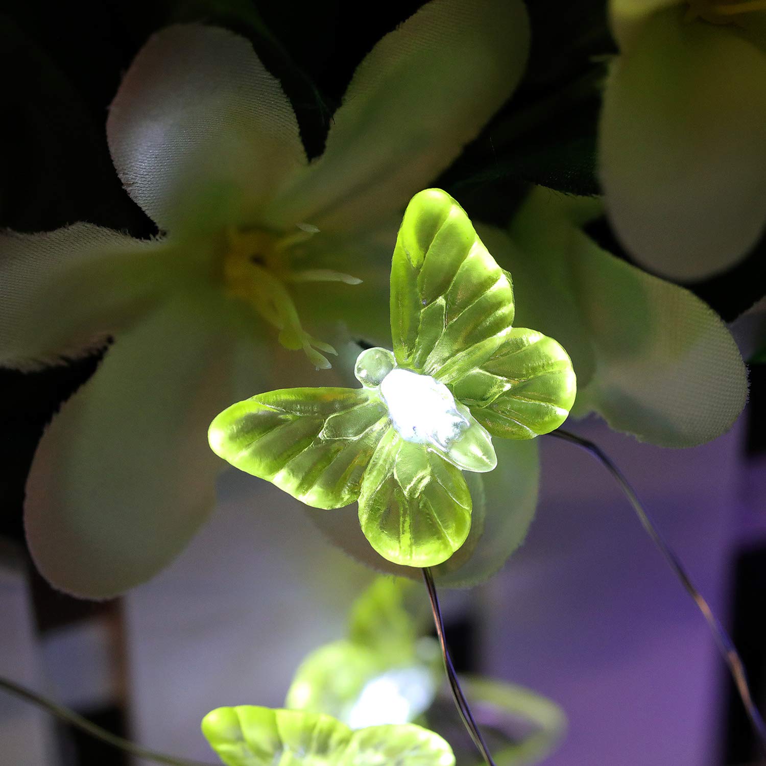 Butterfly String Lights - 40 LED USB Plug-in with Remote Control, 8 Lighting Modes, 21.1ft Waterproof Fairy Lights for Indoor Outdoor Garden, Patio, Party, Wedding, Christmas Decor | Perfect for Bedroom, Backyard, Holiday & Festival Decorations