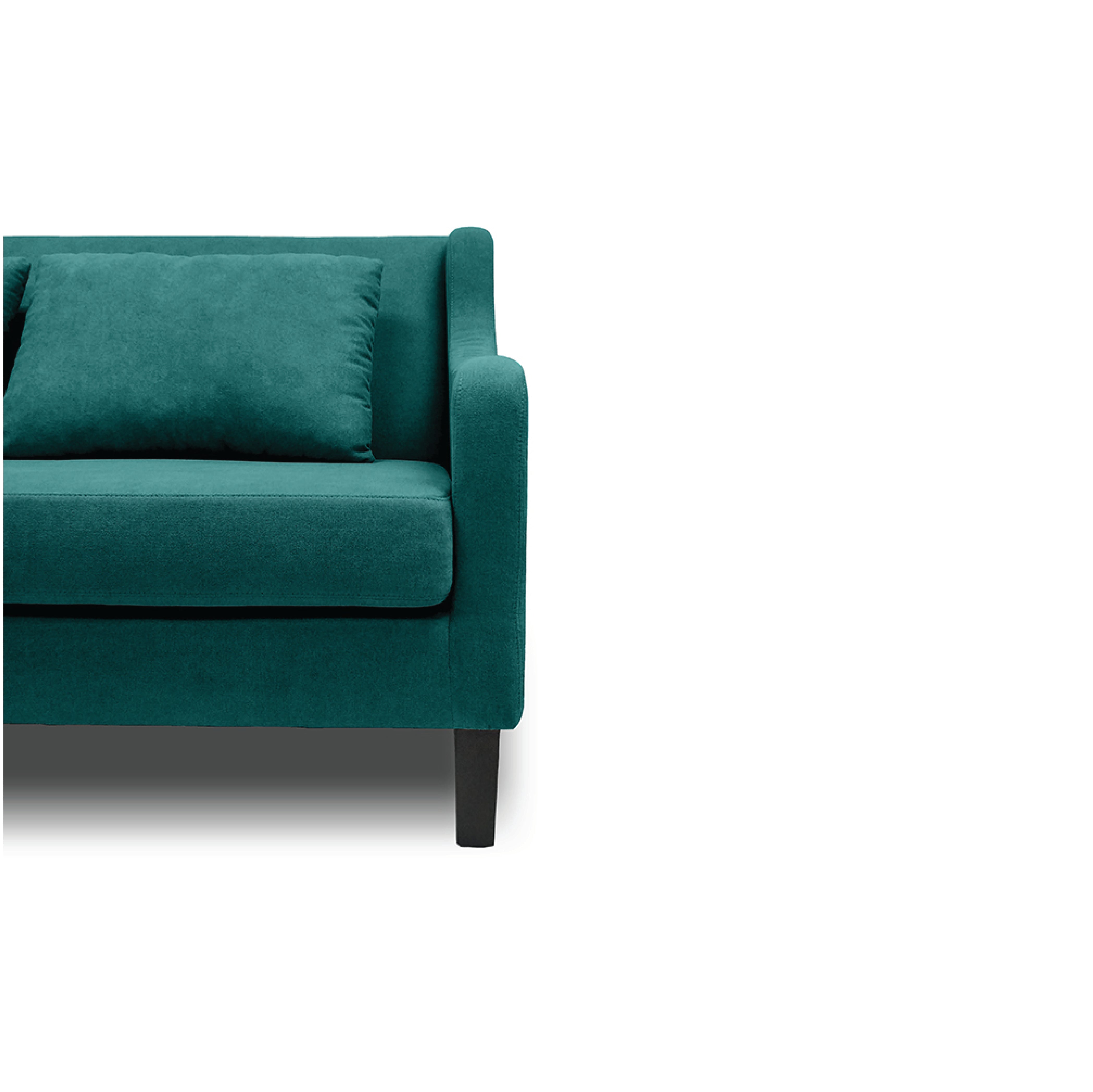 Orsani 2-Seater Sofa with AquaClean Technology - Modern Comfortable Loveseat for Living Room, Lounge & Small Spaces
