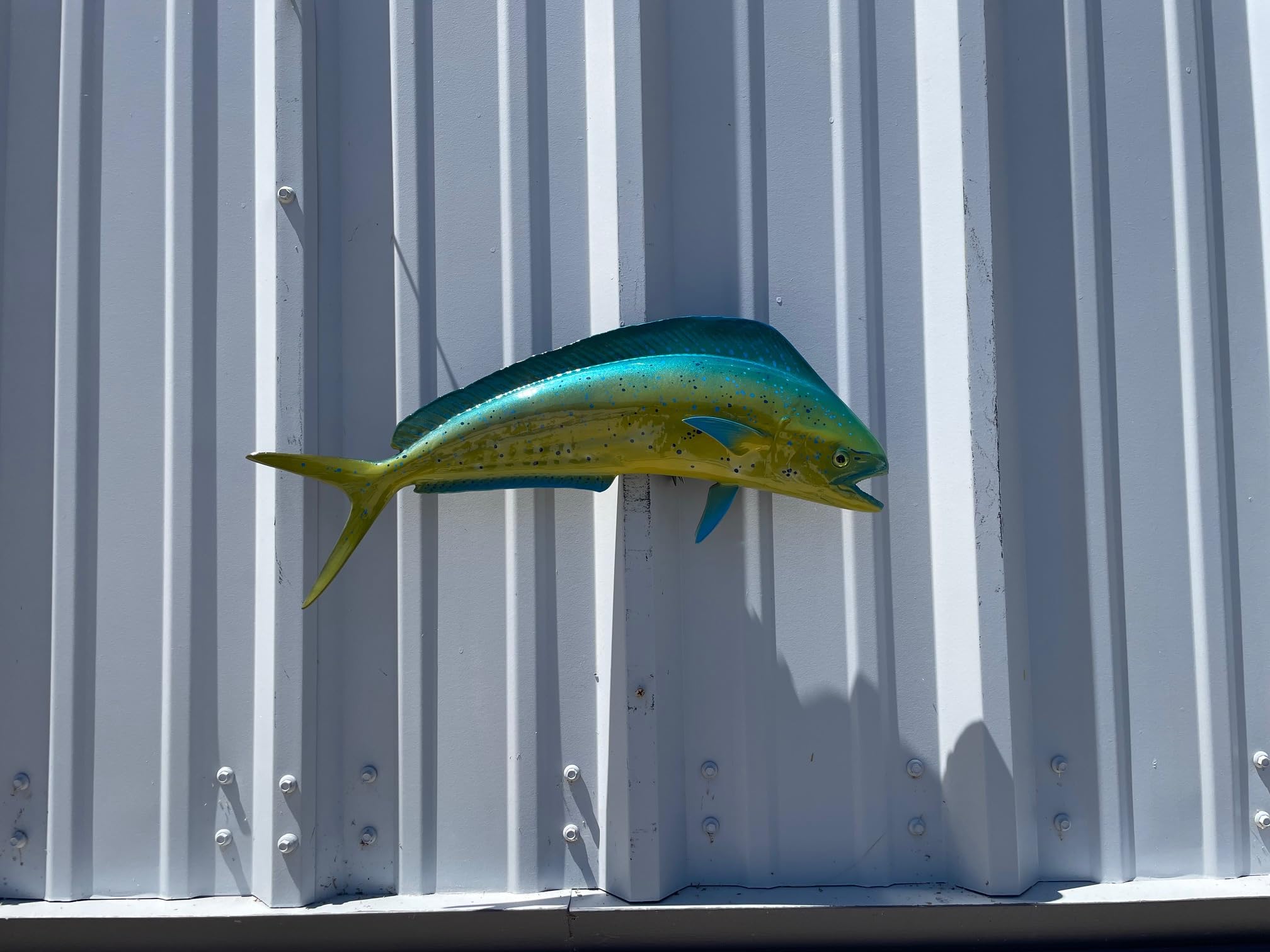 Bull Dolphin Two-Sided Wall Mount Fish Replica - Lifelike Fishing & Coastal Home Decor for Beach House, Nautical Theme Room, or Ocean Lover's Gift