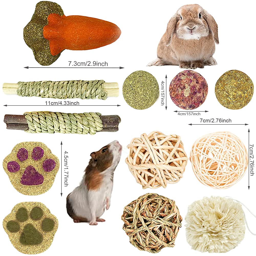 16PCS Small Animal Chew Toys for Hamsters, Guinea Pigs & Rabbits - Dental Care Rolling Balls for Teeth Grinding & Play - Perfect for Cages, Playpens & Exercise Time