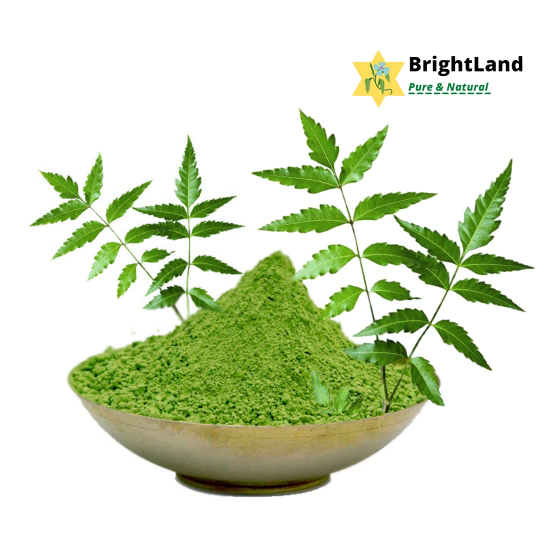 Brightland Wild Kasturi Turmeric (Haldi), Rose Petal, Sandalwood & Neem Powder - 100% Natural Face Mask & Skin Care Treatment (400g) - Perfect for Glowing Skin, Acne Treatment & Ayurvedic Beauty Rituals at Home