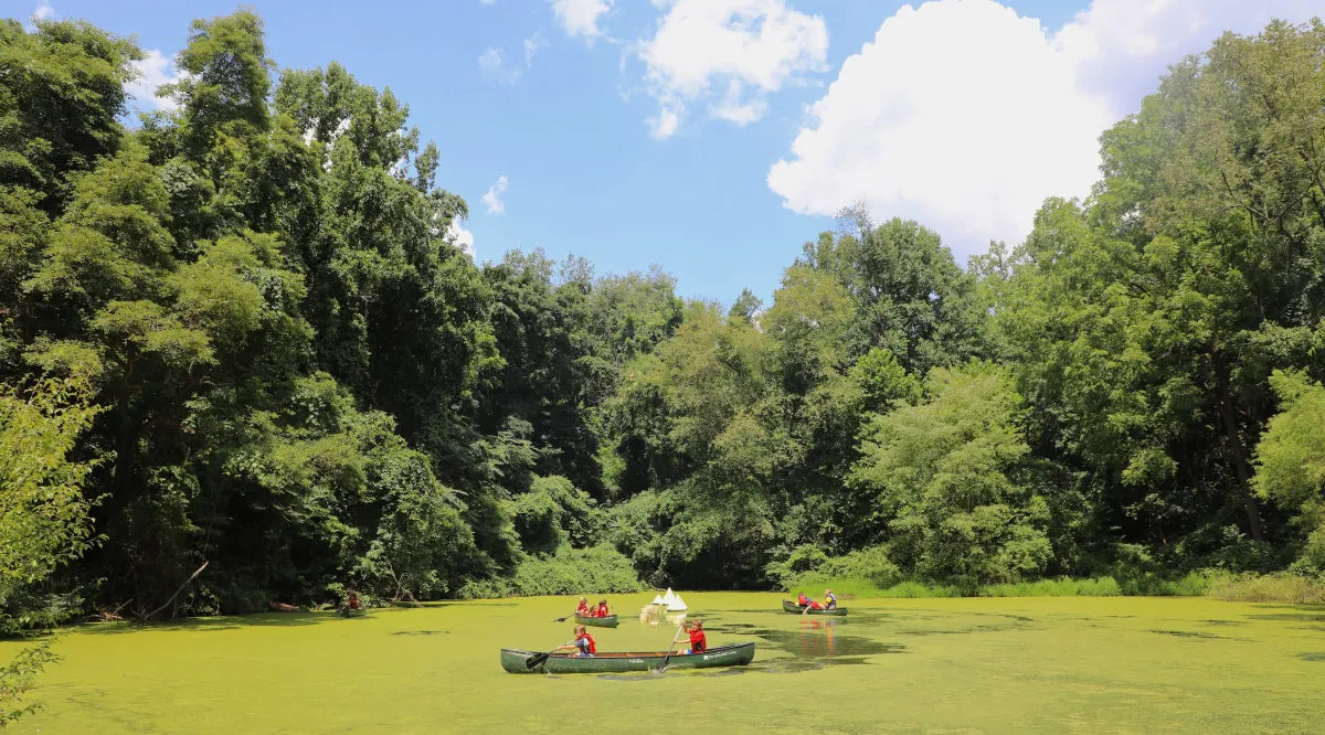 Plein Air Painting Kit - Professional Outdoor Art Supplies for Landscape Artists | Perfect for Nature Sketching at Schuylkill Center