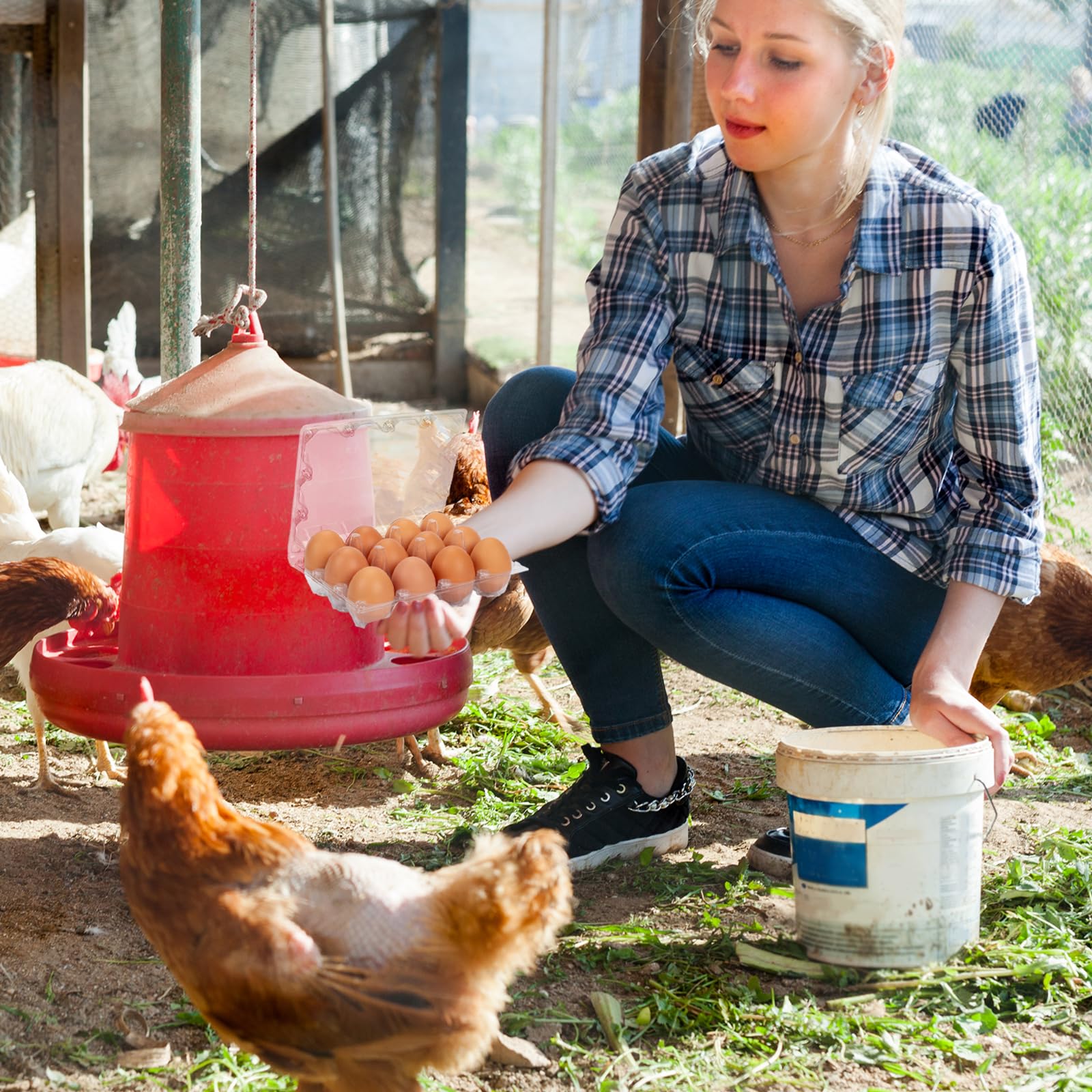60 Pack Clear Plastic Egg Cartons - 1 Dozen Reusable Empty Egg Containers for Chicken Eggs | Bulk Farm & Commercial Use | Durable 3x4 Grid Design | Perfect for Home Chicken Coops, Farmers Markets & Grocery Store Displays
