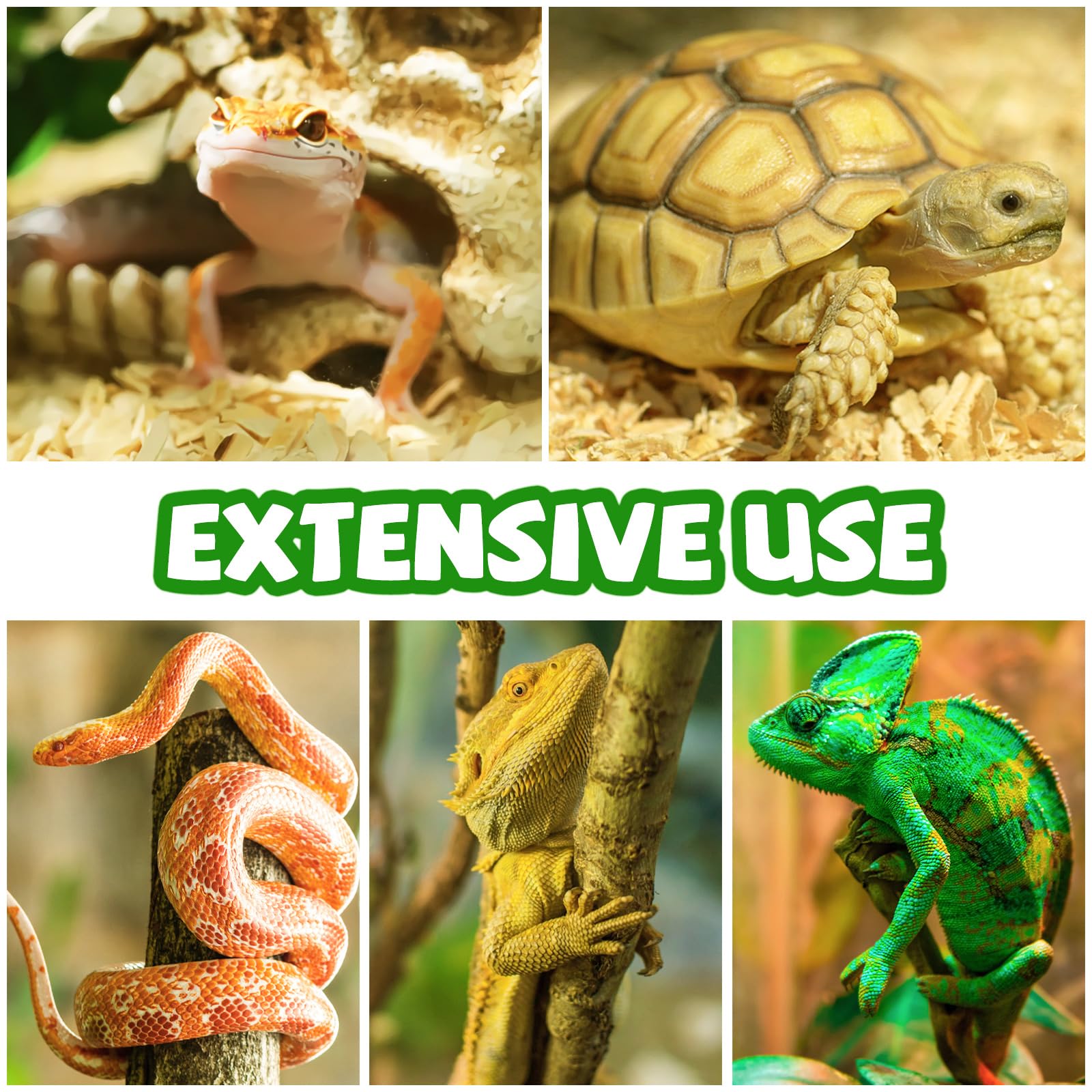 Premium Reptile Tank Accessories Set - Artificial Plants, Flexible Vines with Suction Cups & Hide Decor for Crested Geckos, Chameleons, Lizards - Natural Climbing Habitat for Terrariums & Vivariums