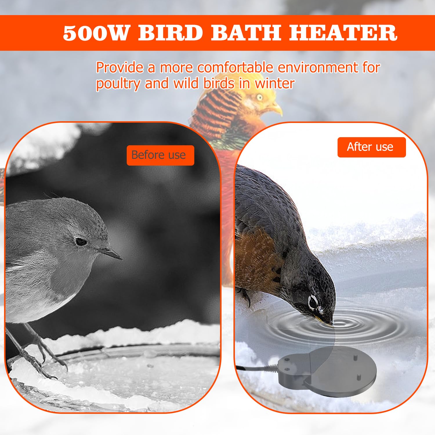 Thermostatic Chicken Water Heater - Aluminum Submersible De-Icer for Winter Bird Baths & Livestock Troughs | Efficient Poultry & Wild Bird Water Warmer for Cold Weather Use | Perfect for Coops, Farms, and Backyard Birding
