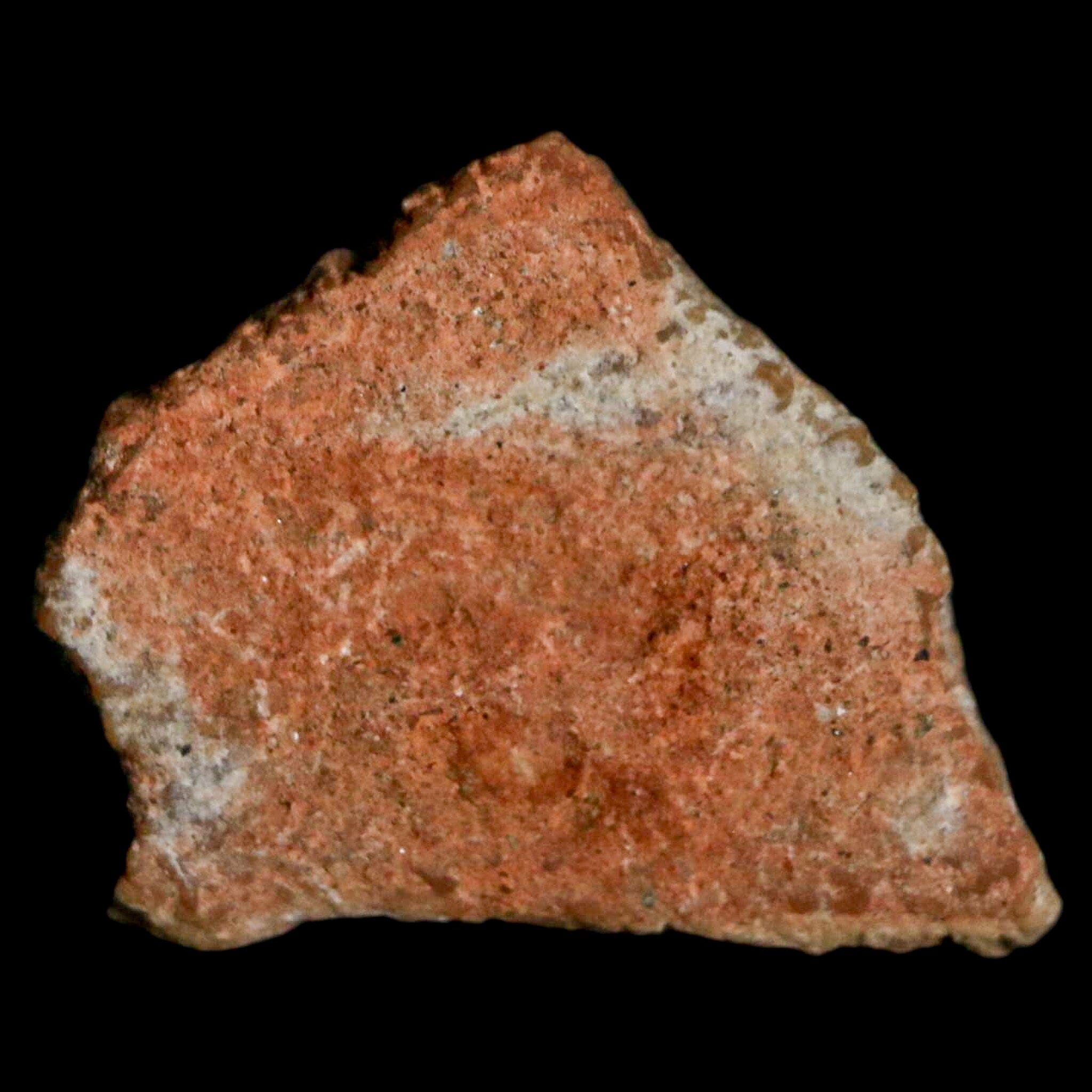 Authentic 0.7 Megaloolithus Titanosaur Dinosaur Fossil Egg Shell from Bouches-du-Rhône, France - Rare Collector's Item for Museum Display & Paleontology Enthusiasts - Perfect for Educational Exhibits, Home Decor, and Fossil Collections