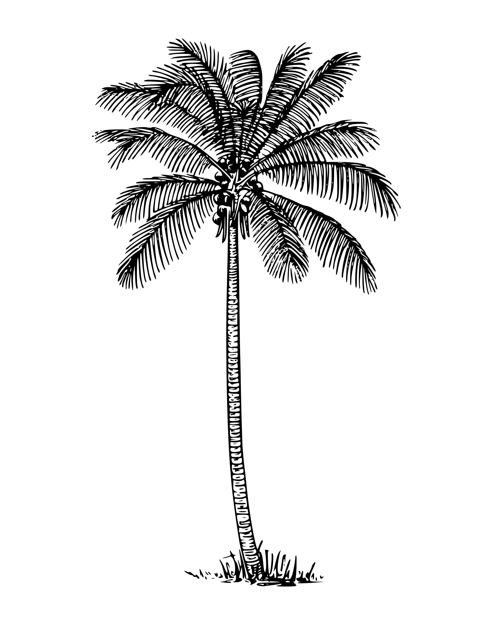 Tropical Palm Tree Wall Decal - Coconut Sticker for Bedroom, Bathroom & Nursery Decor (Black)