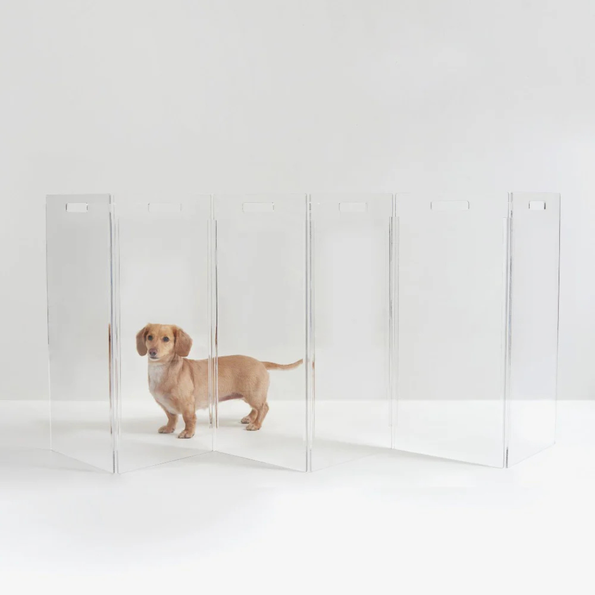 Clear Freestanding Zig Zag Panel Pet Gate - Expandable Safety Barrier for Dogs & Cats - Perfect for Doorways, Hallways & Stairs - Home & Office Use