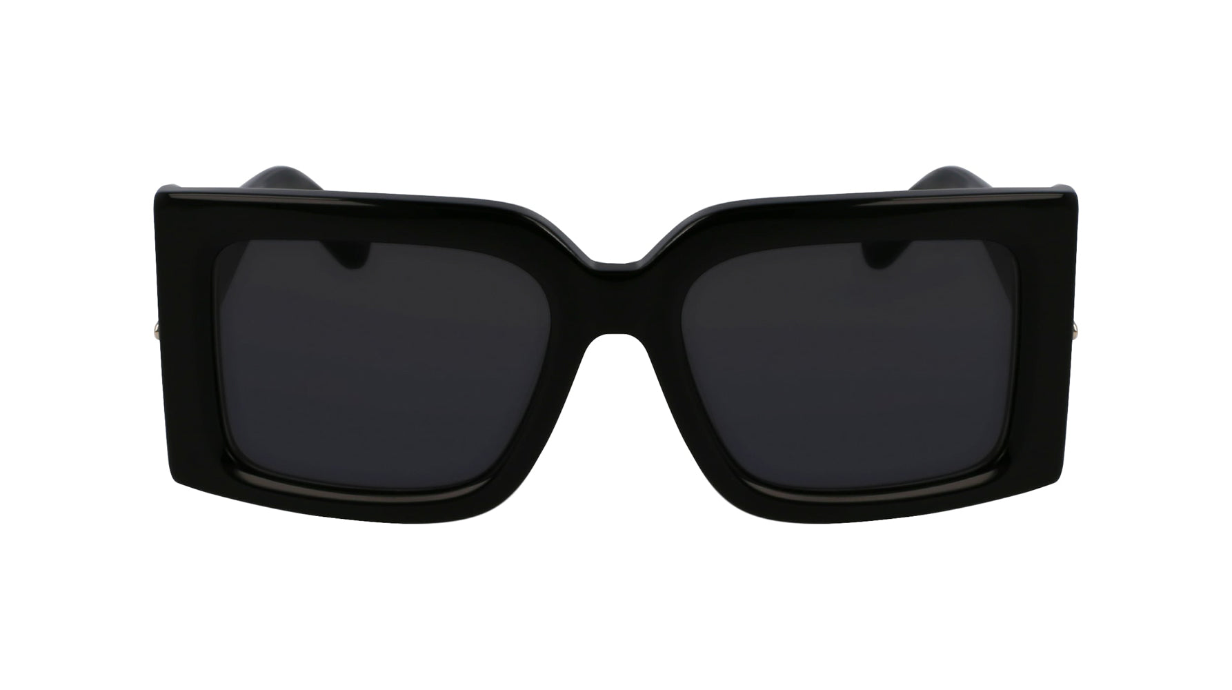 Ferragamo SF2032S Sunglasses for Women - Luxury Designer Shades with UV Protection - Perfect for Outdoor Activities, Travel & Fashion Accessories