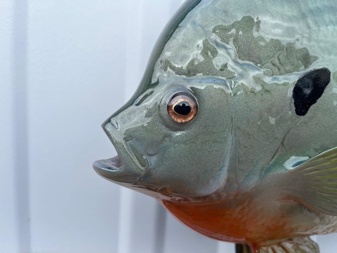Bluegill Fish Wall Mount Replica - Lifelike Fishing Trophy & Coastal Home Decor for Living Room, Cabin, or Office