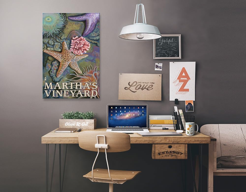 Lantern Press Martha's Vineyard Tidepools Wall Art - 16x24 Wrapped Canvas Print for Coastal Home Decor, Beach House Living Room & Office Wall Decor - Perfect Nautical Gift for Ocean Lovers