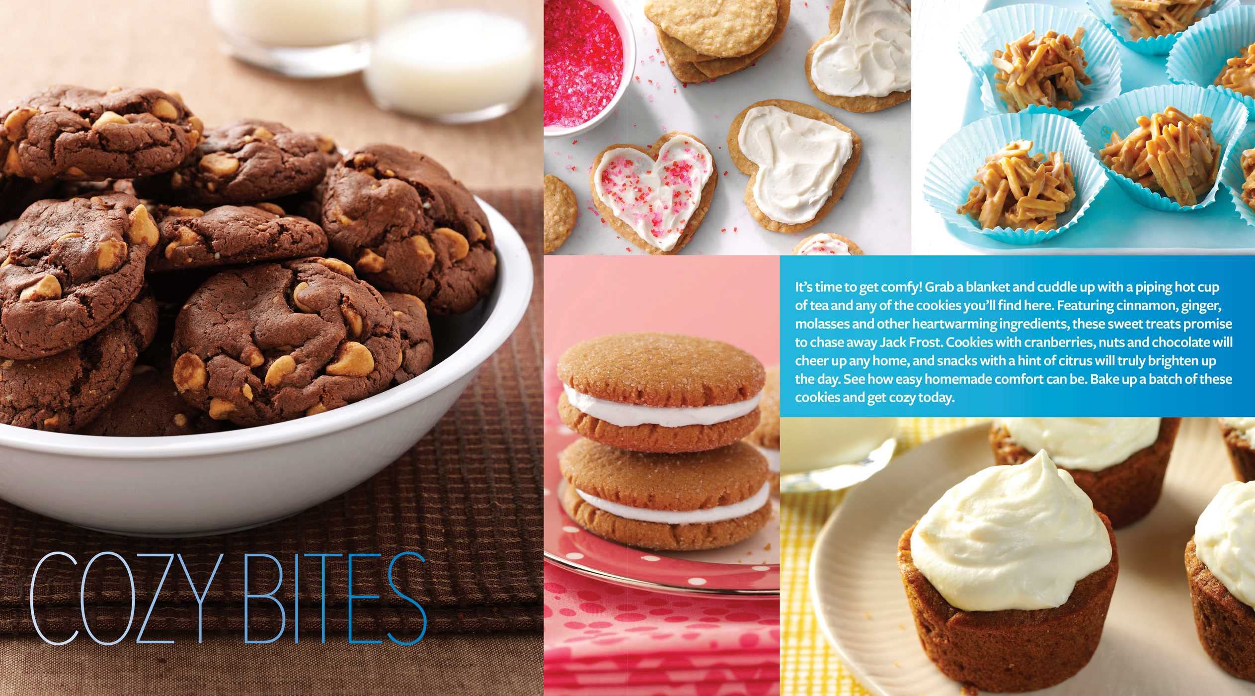 Taste of Home 365 Days of Cookies Cookbook - Best Homemade Cookie Recipes for Every Occasion | Perfect for Holidays, Parties & Family Baking
