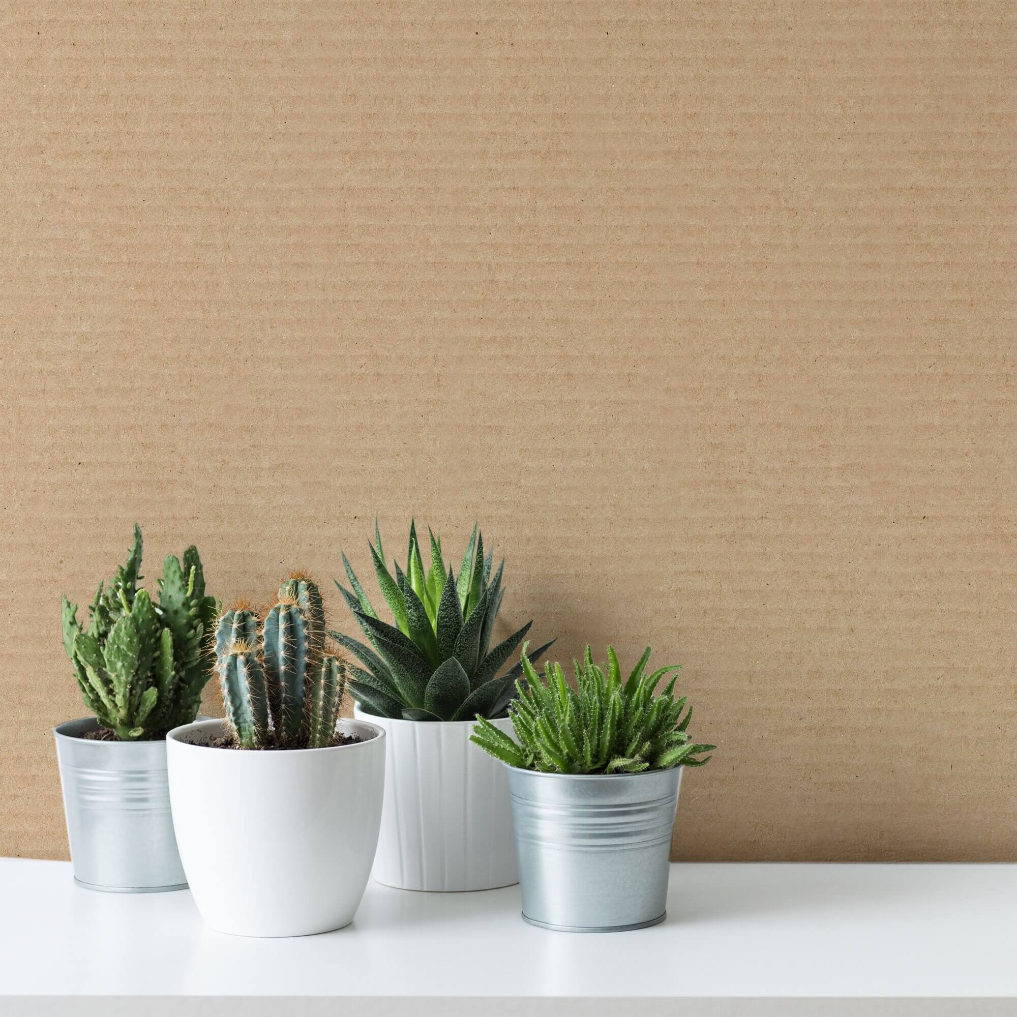 Brown and Beige Grasscloth Textured Peel and Stick Removable Wallpaper - Self-Adhesive Wall Covering for Bedroom, Living Room, Office Decor