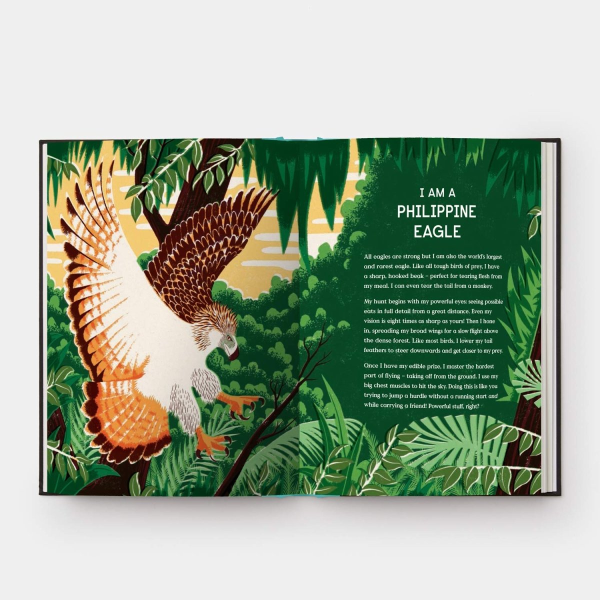 Gabrielle Balkan: Book of Flight - 10 Record-Breaking Animals with Wings | Illustrated by Sam Brewster | Perfect for Kids' STEM Learning & Nature Exploration