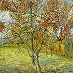 Peach Tree Van Gogh