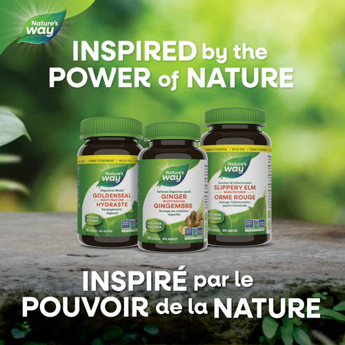 Nature's Way Dandelion Root 100 Veggie Caps - Organic Herbal Supplement for Liver Support & Detox - Perfect for Daily Wellness & Natural Cleansing