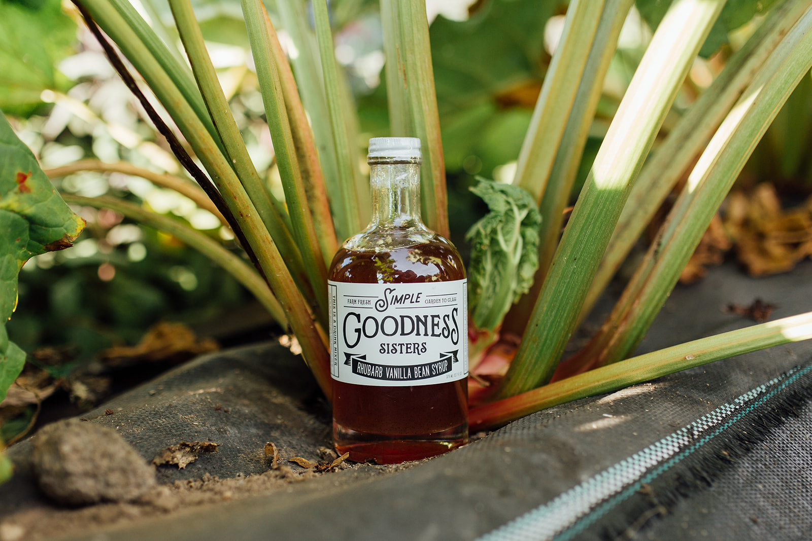 Rhubarb Vanilla Bean Syrup - Organic Vanilla & Fresh Rhubarb for Cocktails, Coffee, Baking & Desserts | Perfect for Mocktails, Pancakes & Yogurt Toppings