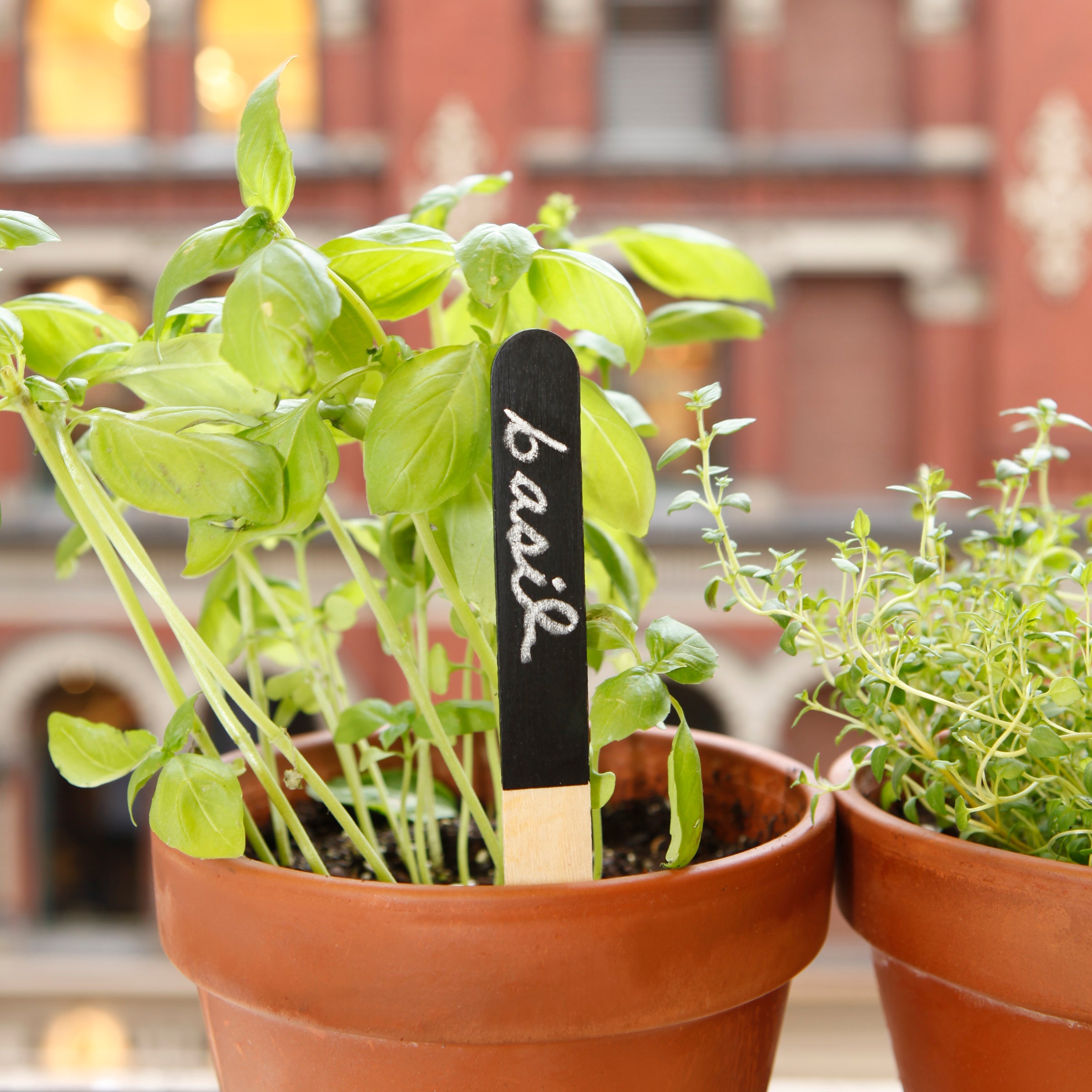 Durable Reusable Garden Markers for Plants - Weatherproof Plant Labels for Vegetable Herb Flower Seed Identification - Perfect for Indoor Outdoor Gardening, Greenhouses & Backyard Planting