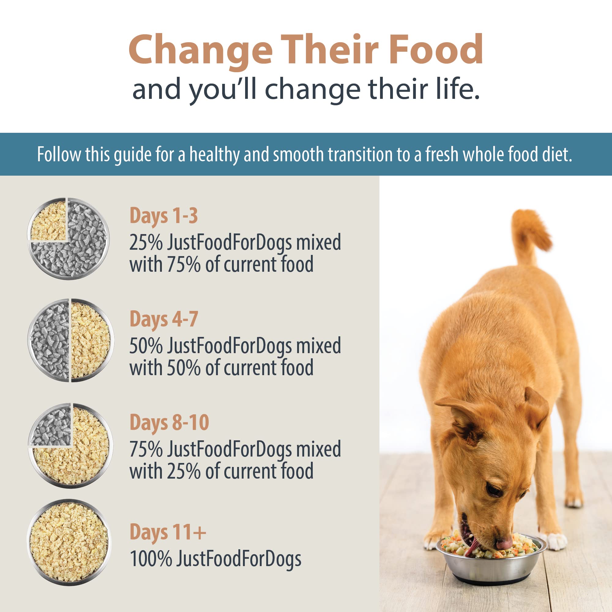 JustFoodForDogs Pantry Fresh Wet Dog Food for Sensitive Stomachs - Human Grade Complete Meal & Food Topper - Balanced Remedy Recipe - 12.5oz (12 Pack) | Perfect for Picky Eaters & Dogs with Digestive Issues - Great for Mixing with Kibble or Serving Alone