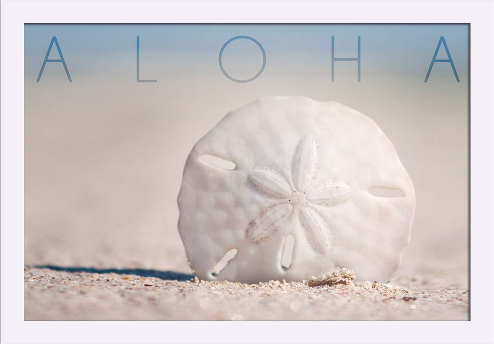 Sand Dollar on Beach Aloha - 16x24 Inch Giclee Fine Art Print with Recycled Wood Frame in White | Coastal Wall Decor for Living Room, Bedroom & Beach House