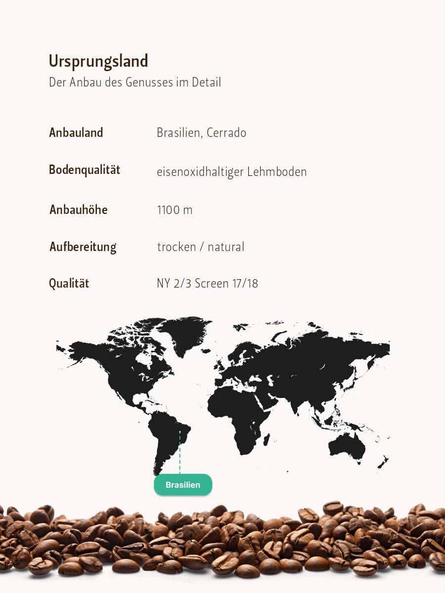 Berlin Coffee Roastery - Brazil Fazenda da Lagoa Ground Coffee (125g) in Double-Lid Tin, Light Roast, 100% Arabica Beans, Floral/Nutty/Sweet Flavor Profile - Perfect for Home Brewing & Office Coffee Breaks