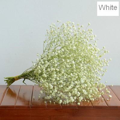 A bunch white babys breath (about 15 stems)