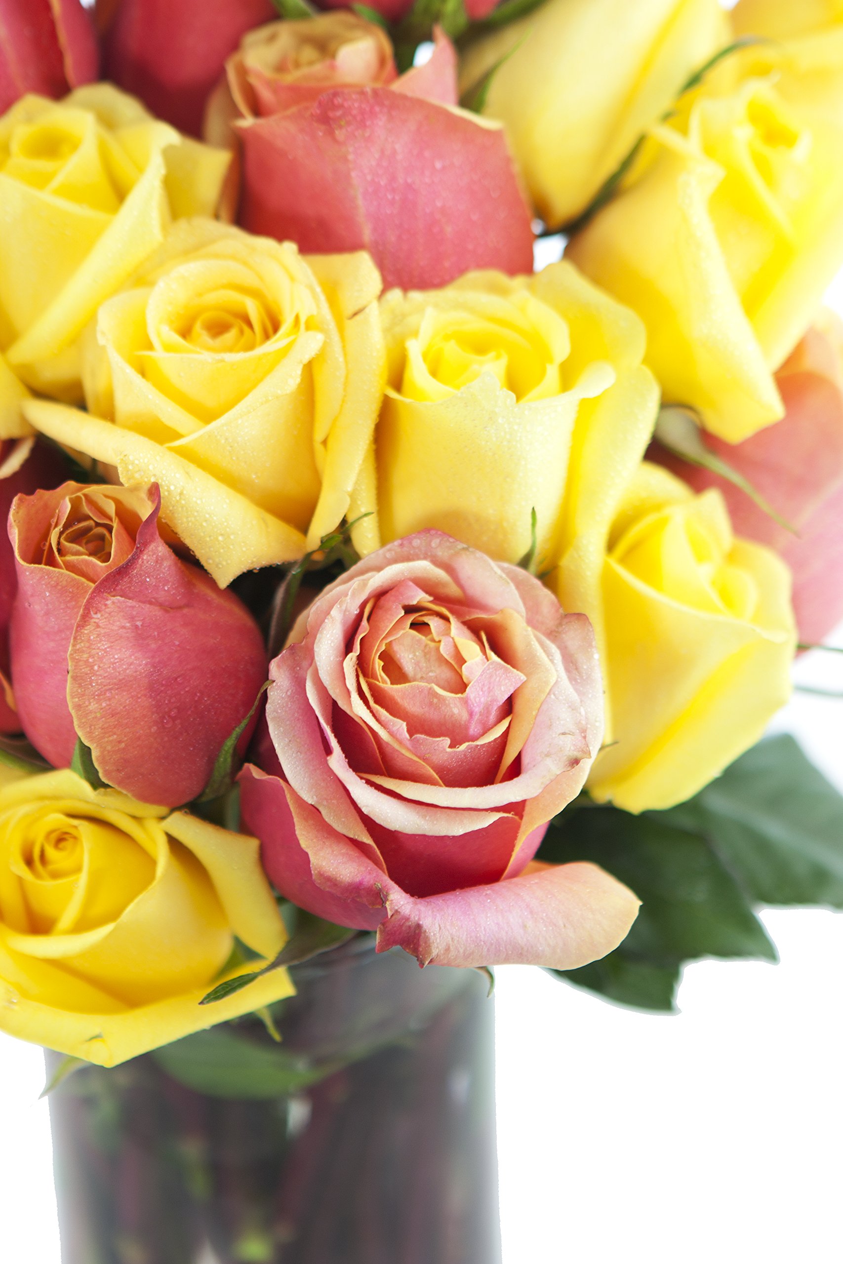KaBloom PRIME NEXT DAY DELIVERY - 2 Dozen Fresh Orange & Yellow Roses with Glass Vase - Perfect for Mother's Day, Birthday, Anniversary, Get Well, Thank You & Valentine's Day Gifts - Ideal for Home Decor, Wedding Centerpieces & Romantic Surprises