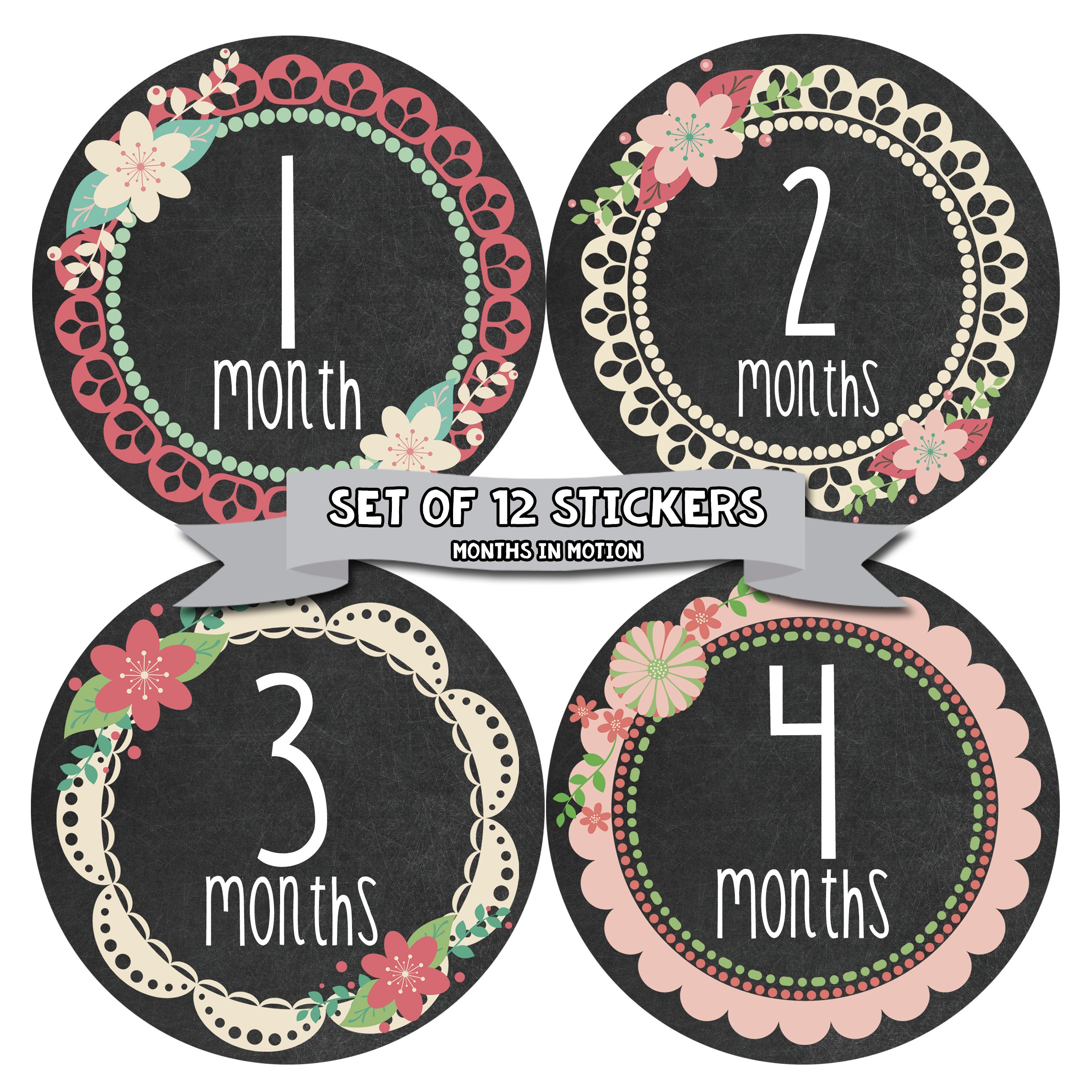Baby Monthly Milestone Stickers for Newborn Girls - Adhesive Photo Props for 1-12 Month Milestones - Perfect for Baby Photo Shoots, Scrapbooking & Memory Keepsakes