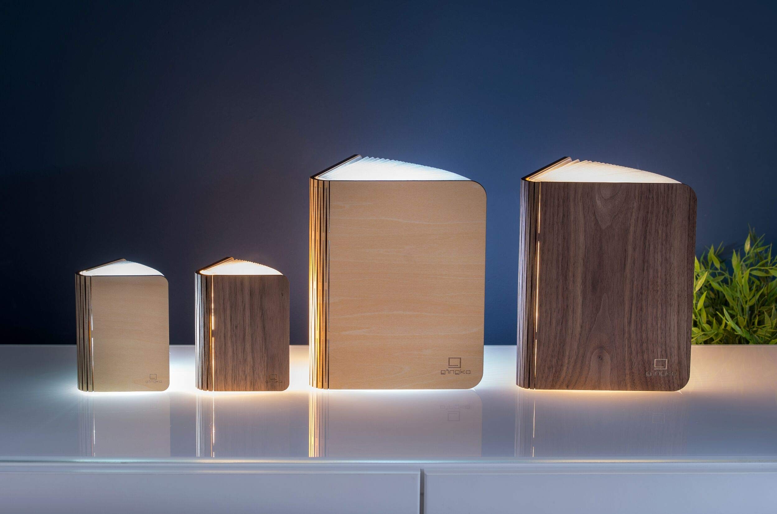 Gingko LED Smart Book Desk Light with Natural Wood Effect Finish - Rechargeable USB Reading Lamp, Adjustable Brightness & Color Temperature for Study, Office, and Bedroom Use - Maple Design
