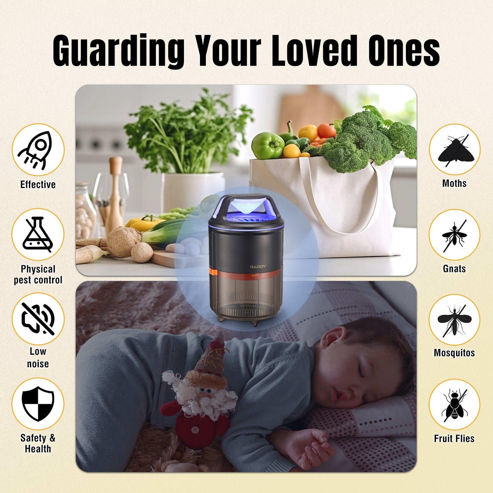 Raddy MS1 Indoor Insect Trap - Anti Escape Net Design for Effective Physical Pest Control | Ideal for Homes, Kitchens, and Bedrooms